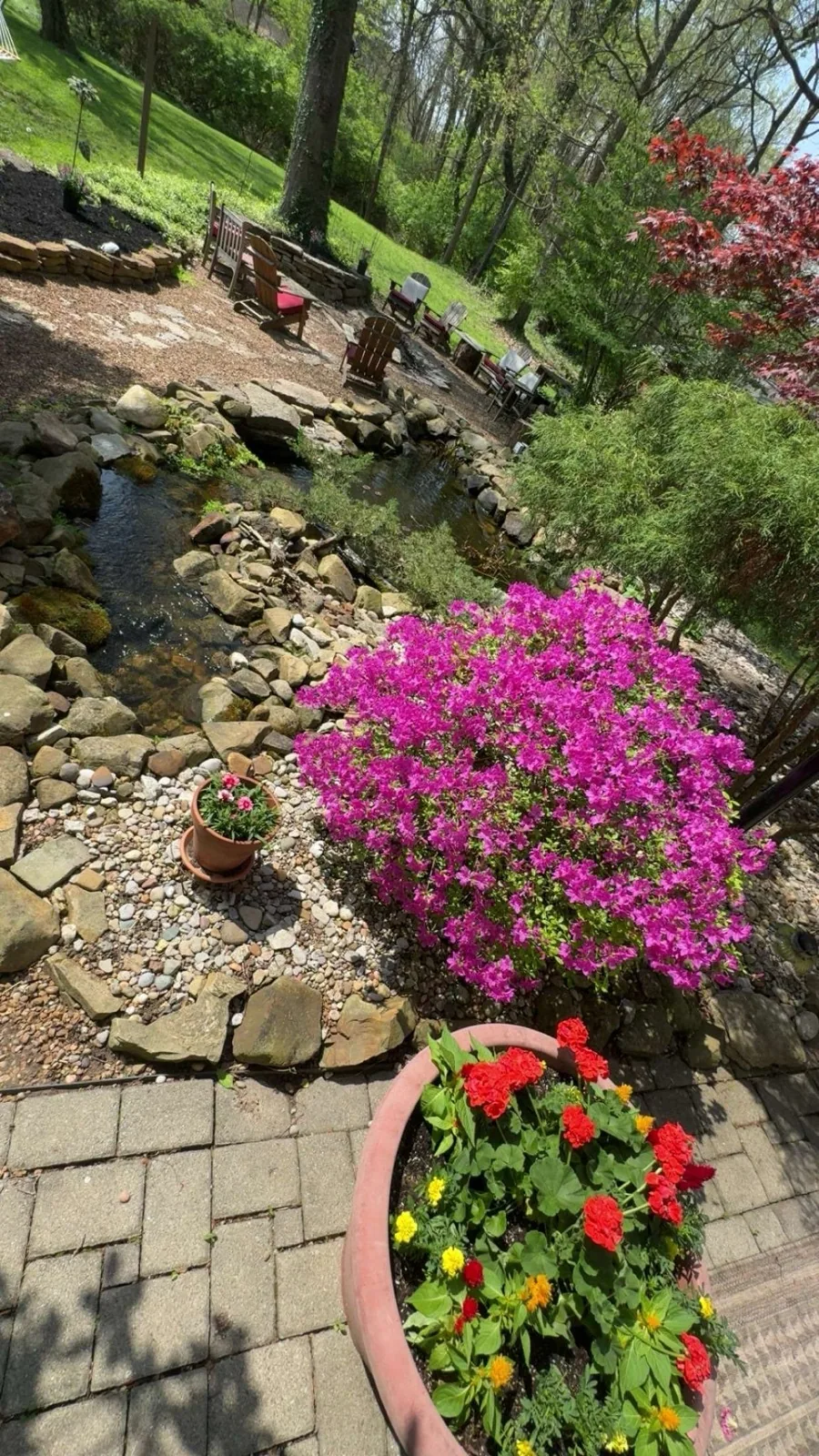 Garden stream and planting completed by Queen City Hardscapes