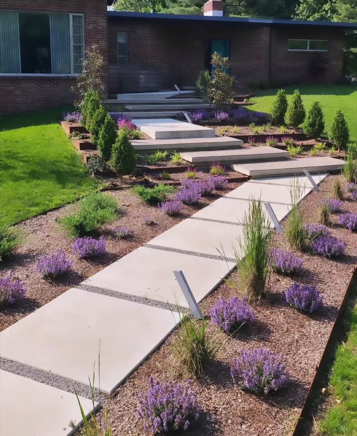 Modern slab walkway and planting completed by Queen City Hardscapes